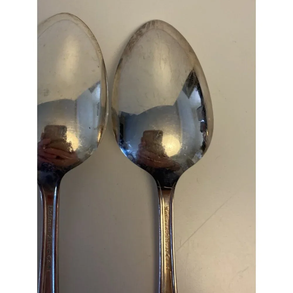 International Silver Co Silverplate ROSE AND LEAF Serving Spoons 8